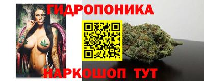 apvp Славгород