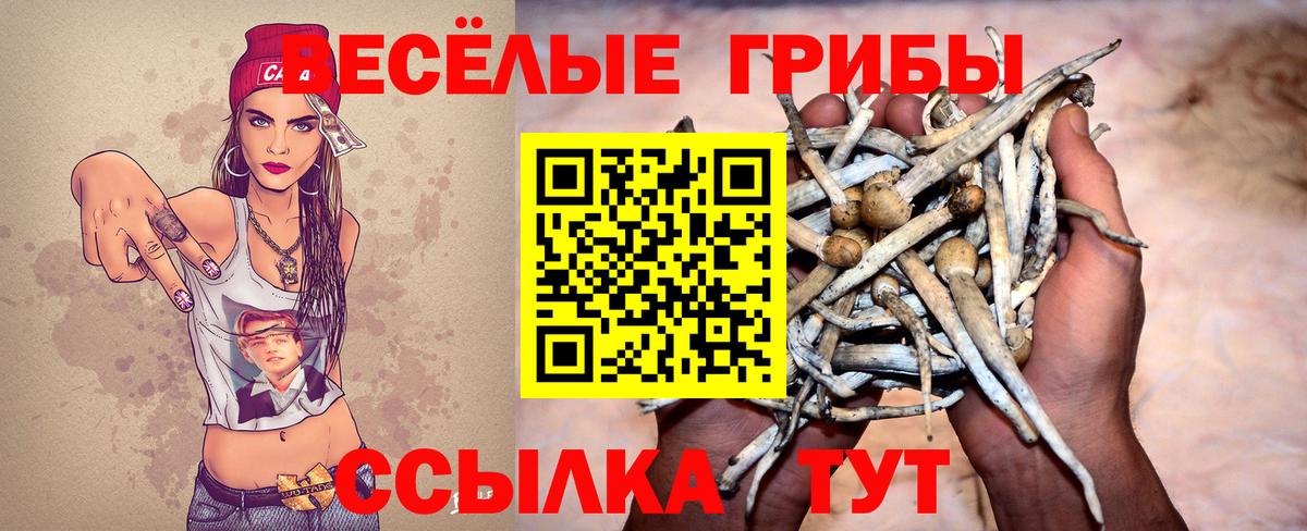 Псилоцибиновые грибы прущие грибы Невинномысск
